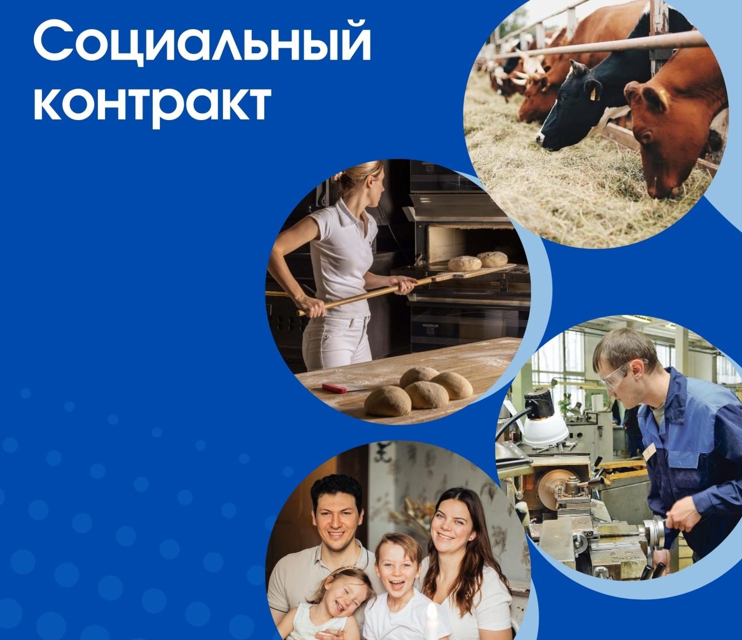 Оказание государственной социальной помощи на основании социального контракта.