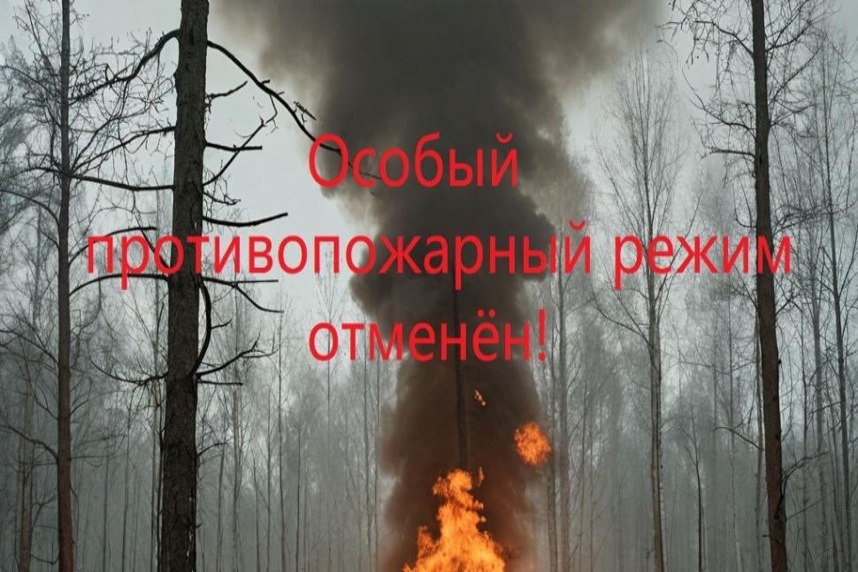 Отменён особый противопожарный режим на территории Пензенской области