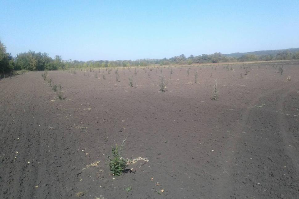 Специалисты отдела экономики, развития сельского  хозяйства и продовольствия администрации Камешкирского района посетили ИП Мальцев Н.Н.- Глава КФХ
