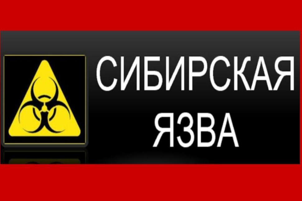 Внимание! Сибирская язва!