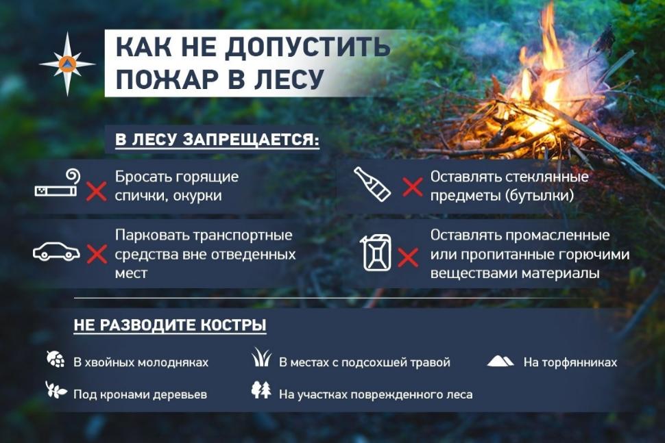 «Как не допустить пожара в лесу»