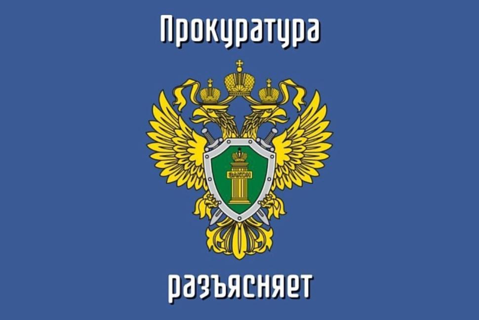 Ответственность за возникновение лесных пожаров. Ответственность за возникновение лесных пожаров.