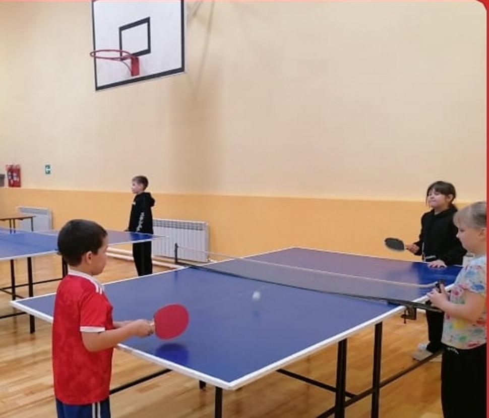 Спарринг по настольному теннису в Русском Камешкире