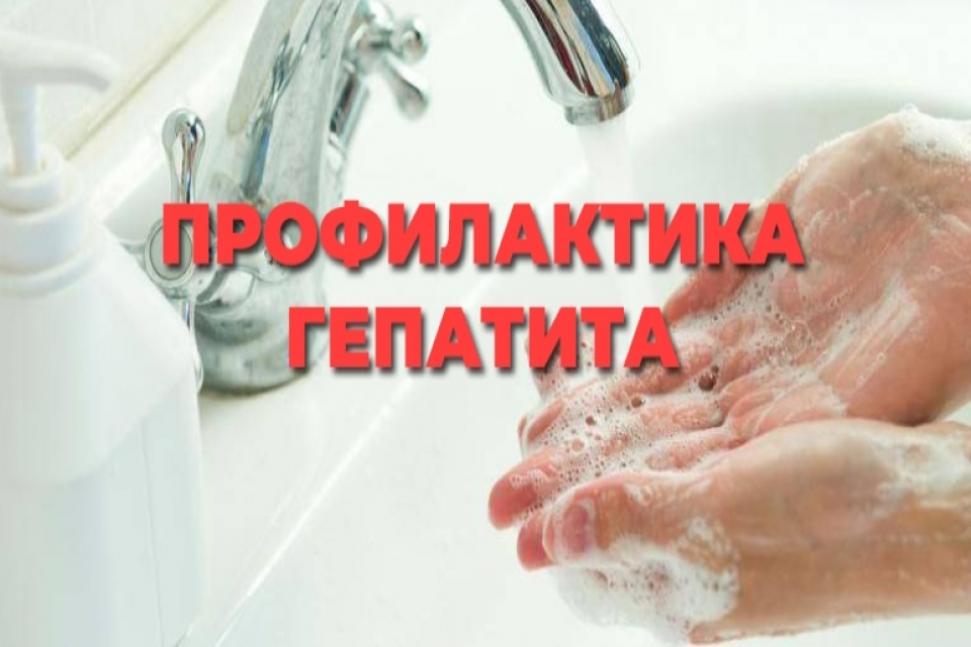 ПРОФИЛАКТИКА ВИРУСНОГО ГЕПАТИТА ПРОФИЛАКТИКА ВИРУСНОГО ГЕПАТИТА