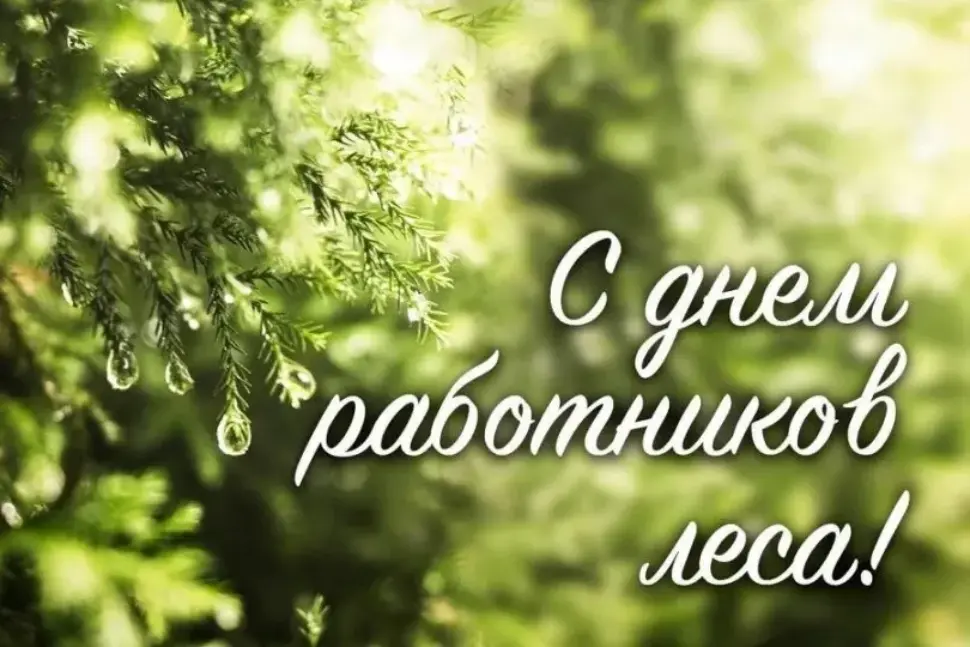 Глава Камешкирского района Ольга Белянина поздравила с Днем работников леса