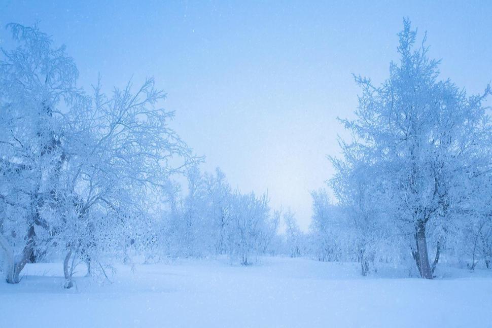 Прогноз погоды 