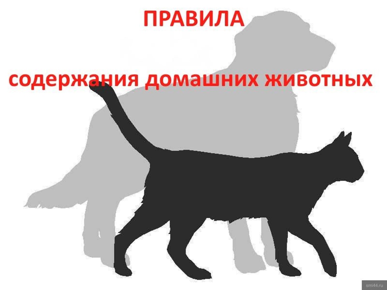 Важная информация