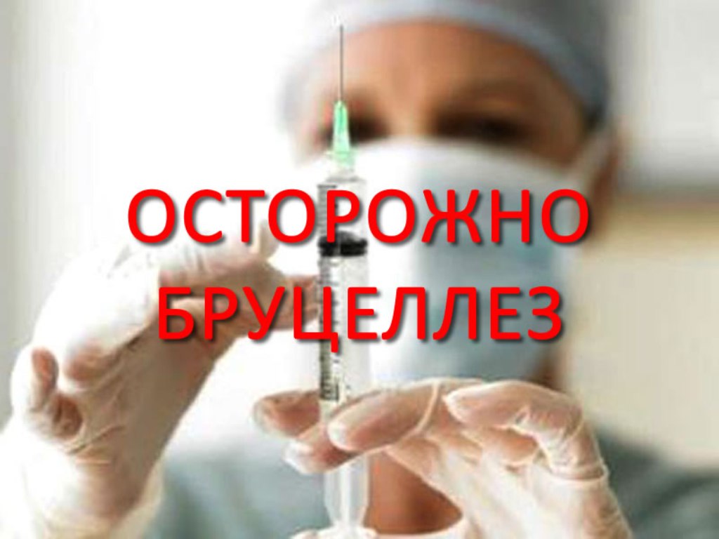 Осторожно! Бруцеллез! Осторожно! Бруцеллез!
