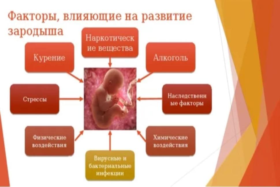 Последствия употребления наркотиков в период зачатия и беременности для здоровья ребёнка Последствия употребления наркотиков в период зачатия и беременности для здоровья ребёнка