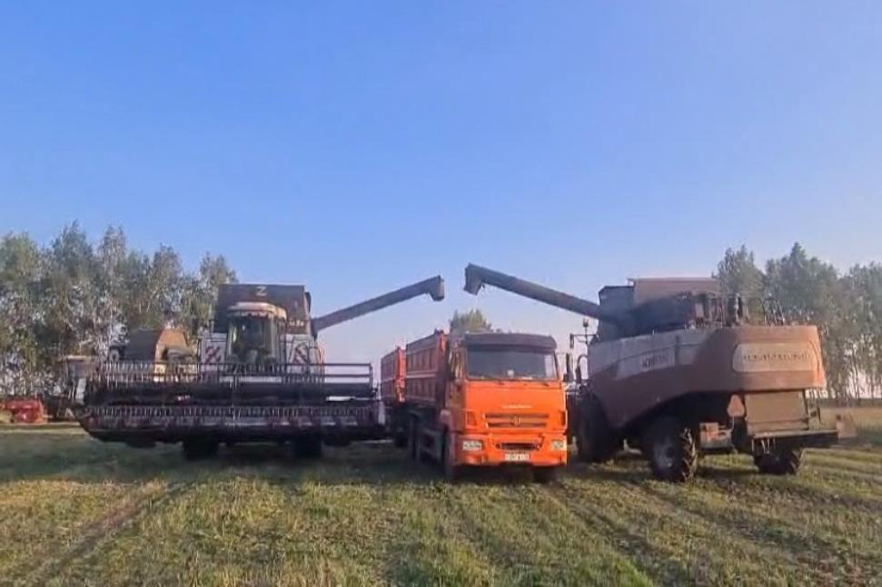 В Камешкирском районе активно ведется  уборочная кампания