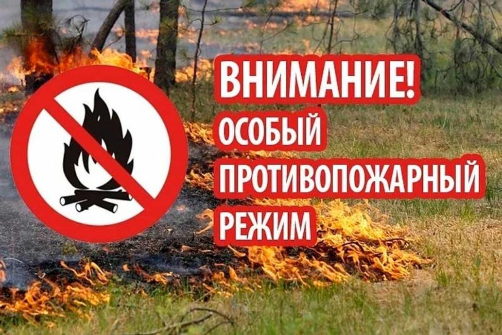 В Пензенской области введен особый противопожарный режим В Пензенской области введен особый противопожарный режим