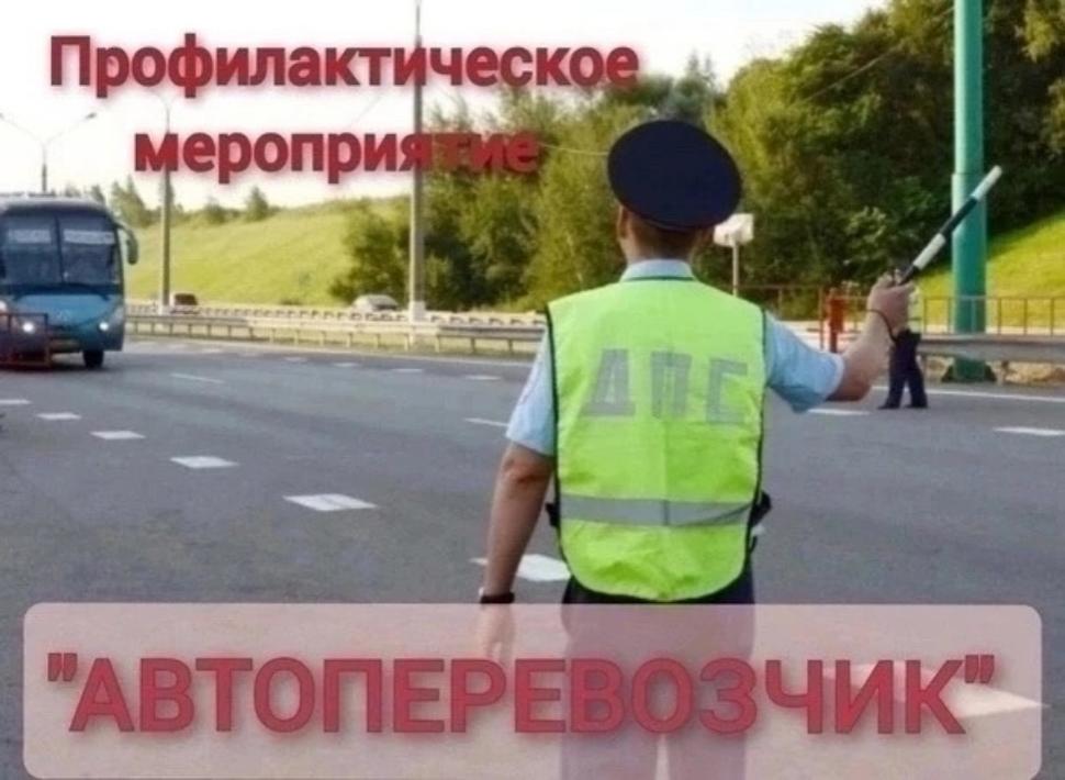 Профилактическое мероприятие «Автоперевозчик» Профилактическое мероприятие «Автоперевозчик»