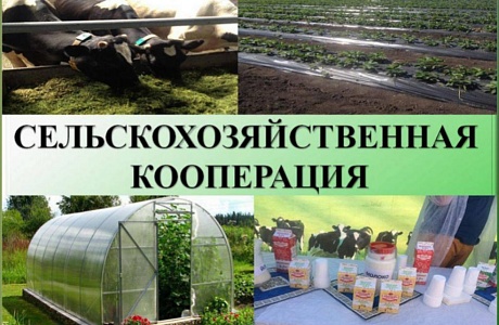 Государственная поддержка обслуживающих сельскохозяйственных потребительских кооперативов Государственная поддержка обслуживающих сельскохозяйственных потребительских кооперативов