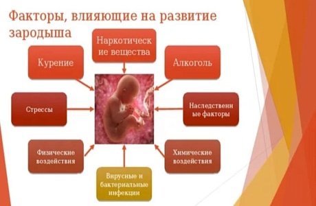 Последствия употребления наркотиков в период зачатия и беременности для здоровья ребёнка