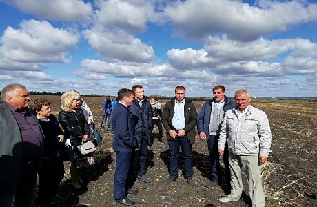 Областной семинар по развитию картофелеводства