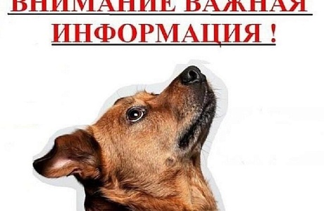Внимание владельцев домашних животных!!! 14 апреля 2025 года на территории района будет проводиться отлов животных без владельцев!!! Внимание владельцев домашних животных!!! 14 апреля 2025 года на территории района будет проводиться отлов животных без владельцев!!!