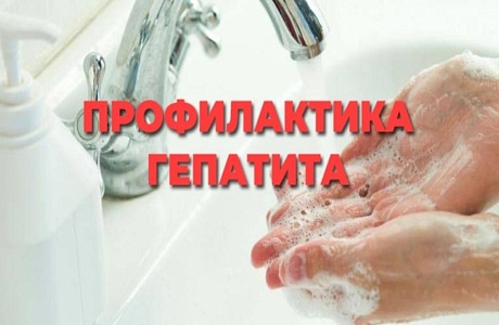 ПРОФИЛАКТИКА ВИРУСНОГО ГЕПАТИТА ПРОФИЛАКТИКА ВИРУСНОГО ГЕПАТИТА