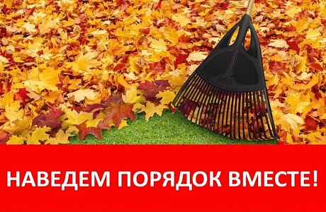 На территории Камешкирского района проводится месячник по благоустройству и санитарной очистке населенных пунктов На территории Камешкирского района проводится месячник по благоустройству и санитарной очистке населенных пунктов