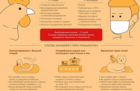 Внимание! Птичий грипп Внимание! Птичий грипп