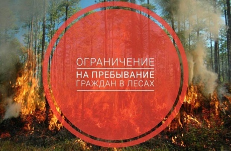 Напоминаем гражданам Камешкирского района, что на территории Пензенской области действует особый противопожарный режим!!! Напоминаем гражданам Камешкирского района, что на территории Пензенской области действует особый противопожарный режим!!!