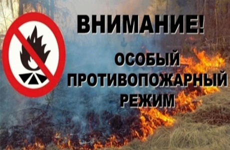 В Пензенской области вводится особый противопожарный режим В Пензенской области вводится особый противопожарный режим