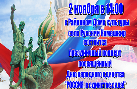 Праздничный концерт,  посвященный Дню народного единства «Россия, в единстве сила!»