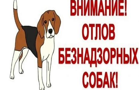 Внимание владельцев домашних животных !!! Внимание владельцев домашних животных !!!