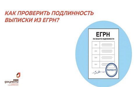 КАК ПРОВЕРИТЬ ПОДЛИННОСТЬ ВЫПИСКИ ИЗ ЕГРН❓