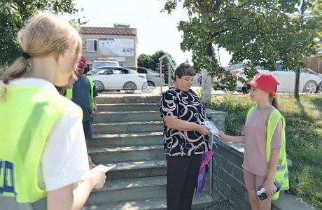 12 июля 2025 года воспитанники пришкольного оздоровительного лагеря "Солнышко" при средней школе с. Русский Камешкир в рамках правовой недели и реализации трека «Орленок – эрудит» приняли участие в просветительской акции "Пешеход. Дорога без опасности"