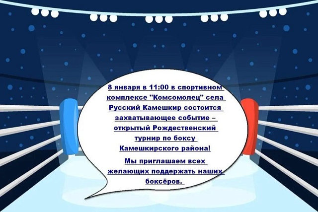Рождественский турнир по боксу