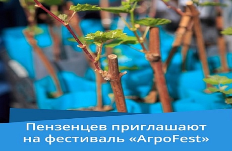 «Фестиваль «АгроFest»