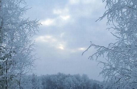 Прогноз погоды 