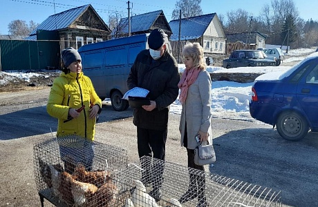 В Камешкирском районе провели рейд по проверке наличия ветеринарно-сопроводительных документов при реализации птицы и свиней, а также птицеводческой и свиноводческой продукции