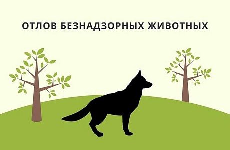 Внимание владельцев домашних животных !!! 5 августа 2024 года на территории района будет проводиться отлов животных без владельцев!!! Внимание владельцев домашних животных !!! 5 августа 2024 года на территории района будет проводиться отлов животных без владельцев!!!