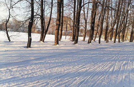 Лыжная трасса