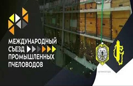 Международный конгресс пчеловодов «АпиГлобал» Международный конгресс пчеловодов «АпиГлобал»