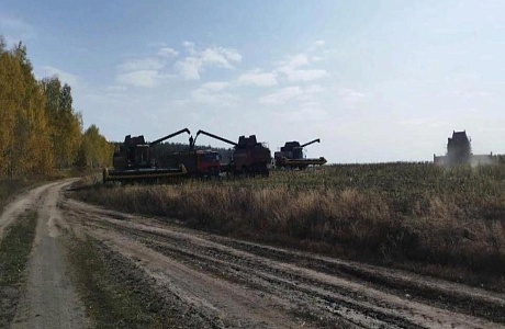 Уборка подсолнечника на зерно в Камешкирском районе набирает обороты Уборка подсолнечника на зерно в Камешкирском районе набирает обороты