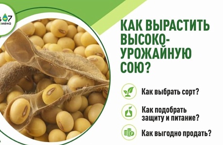 Полевой семинар по эффективному выращиванию сои и пшеницы Полевой семинар по эффективному выращиванию сои и пшеницы