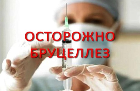 Профилактика бруцеллеза