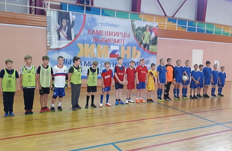 В физкультурно - оздоровительном комплексе "МАЯК" в рамках проекта "Мини-футбол в школу" состоялся третий день районных соревнований
