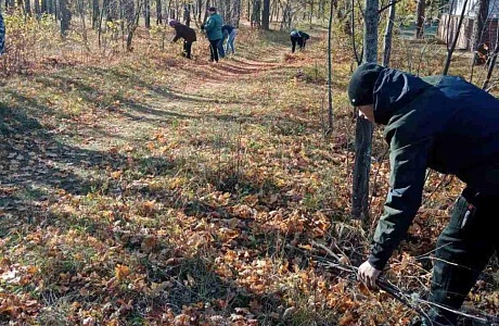 На территории Камешкирского района продолжаются мероприятия по благоустройству общественных территорий 