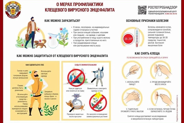 О мерах профилактики клкщквого вирусного энцефалита