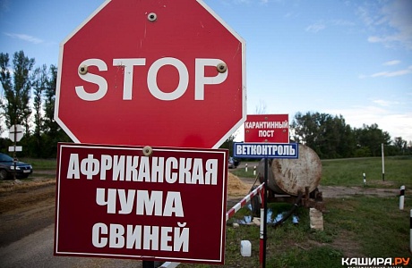 Памятки по профилактике гриппа птиц и африканской чумы свиней