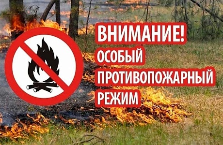 В Пензенской области введен особый противопожарный режим В Пензенской области введен особый противопожарный режим