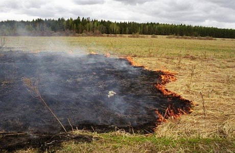 Нестабильное состояние пожарной безопасности в летне-осенний период обуславливается, главным образом, резким ростом количества природных очагов возгораний Нестабильное состояние пожарной безопасности в летне-осенний период обуславливается, главным образом, резким ростом количества природных очагов возгораний