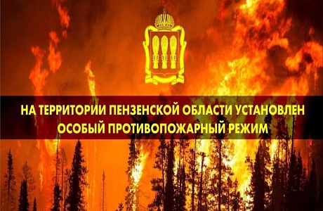 На территории Пензенской области установлен особый противопожарный режим