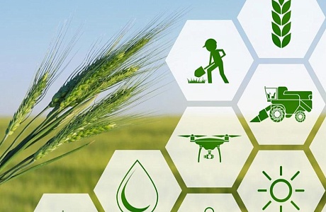 VIII Аграрный форум "Развитие производства сельскохозяйственной продукции в Пензенской области"