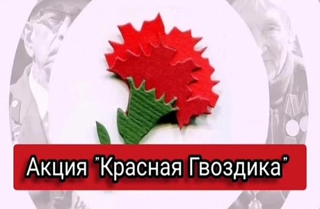 Акция "КРАСНАЯ ГВОЗДИКА" Акция "КРАСНАЯ ГВОЗДИКА"