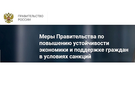 На сайте Правительства России заработал раздел по мерам поддержки граждан и бизнеса в условиях санкций