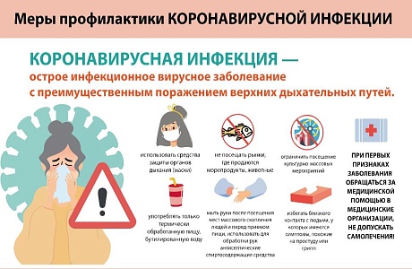 Меры профилактики рисков, связанных с распространением COVID-19 при проведении Всероссийской переписи населения 2020 года Меры профилактики рисков, связанных с распространением COVID-19 при проведении Всероссийской переписи населения 2020 года